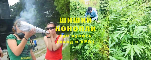 прущие грибы Белоозёрский