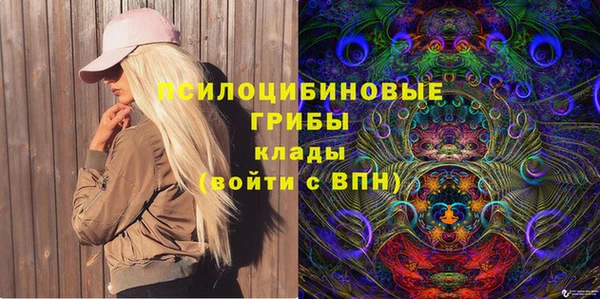 прущие грибы Белоозёрский