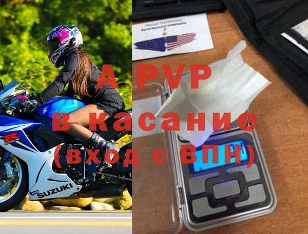 прущие грибы Белоозёрский